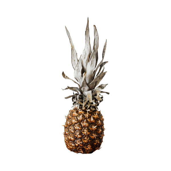 Wild pineapple per piece