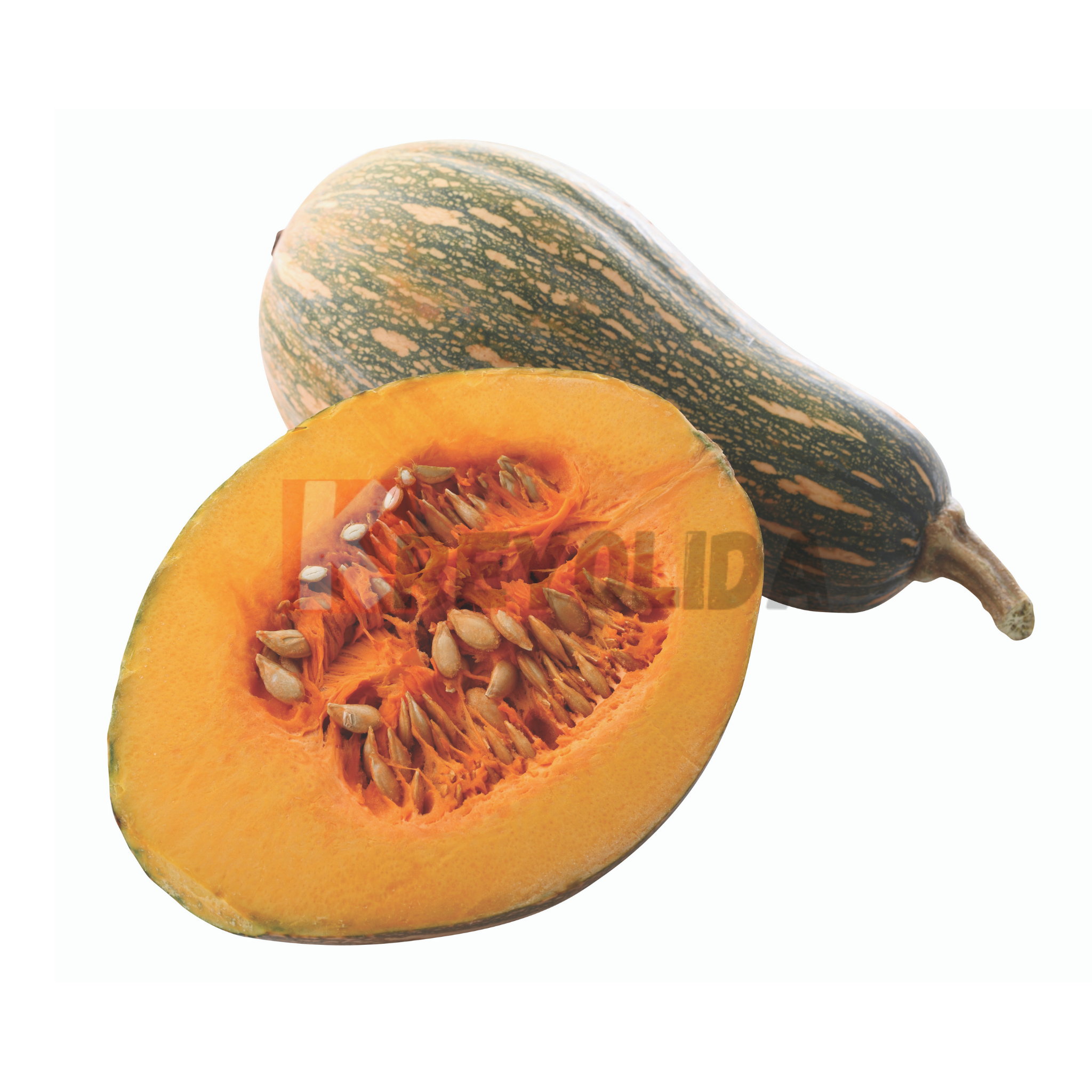 Jeunes plants de Giraumon "Courge musquée" x12