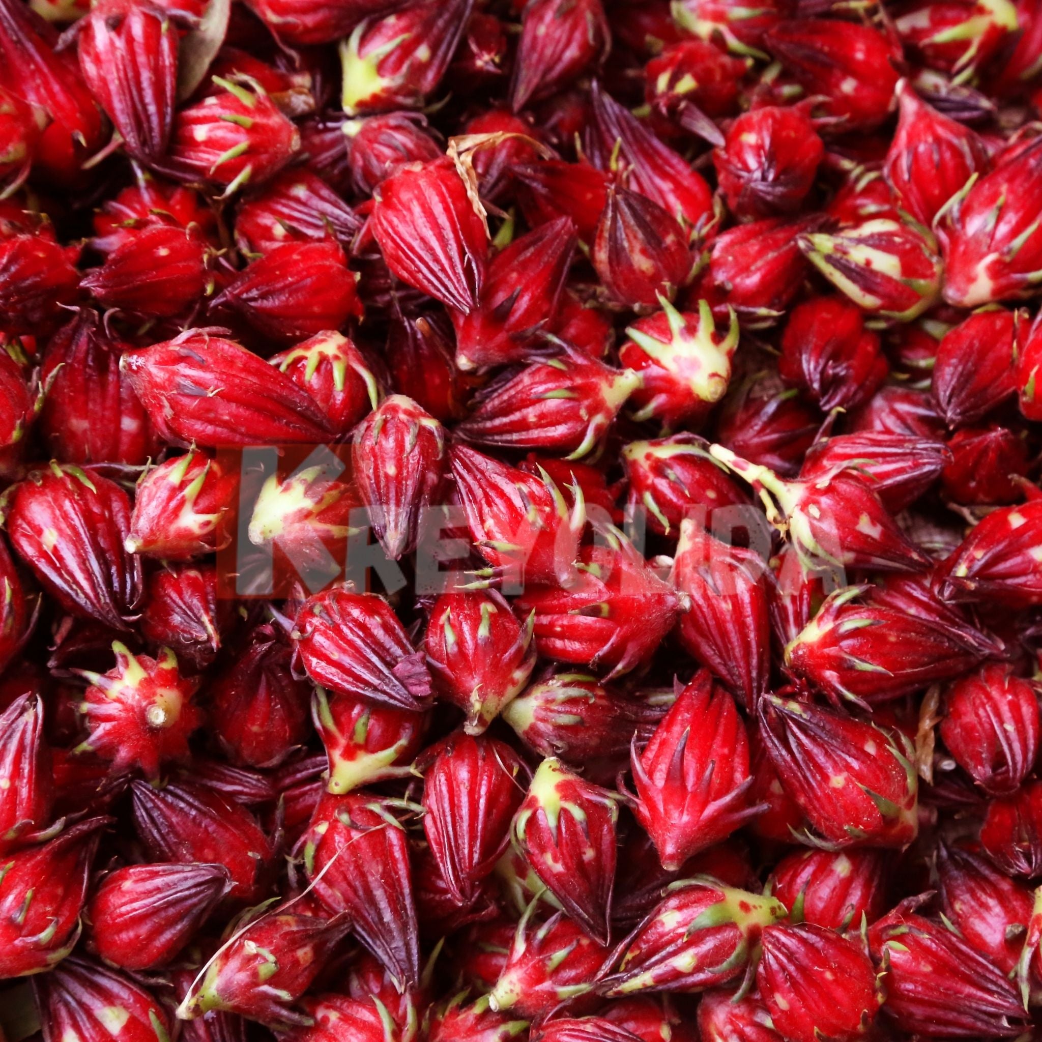 Groseille Péyi 1kg
