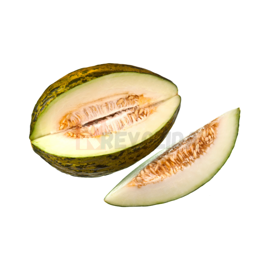 Jeunes plants de Melon vert Piel de sapo x12
